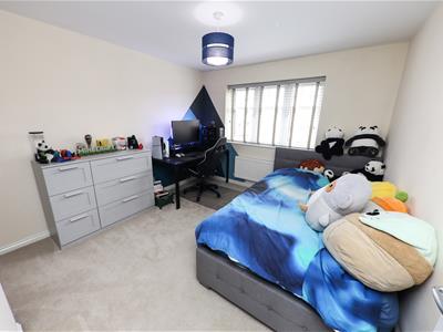 Picture 20